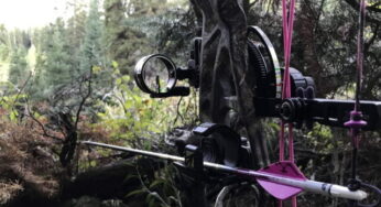 The 10 Best Single Pin Bow Sight for Hunting