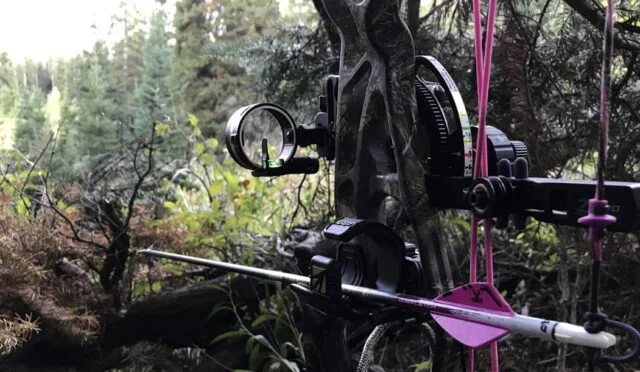 Best Single Pin Bow Sight