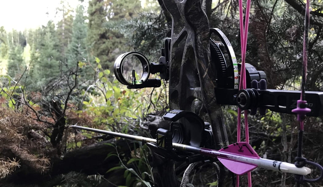 The 10 Best Single Pin Bow Sight for Hunting The Shooting Gears