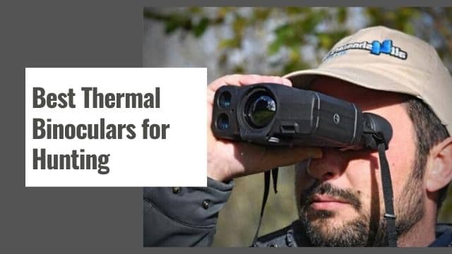 Best Thermal Binoculars for Hunting