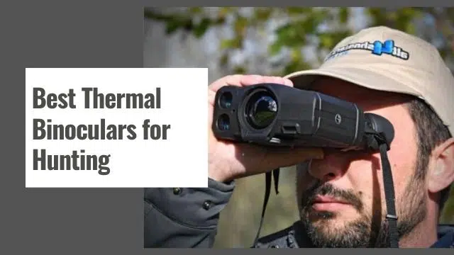 Best Thermal Binoculars for Hunting