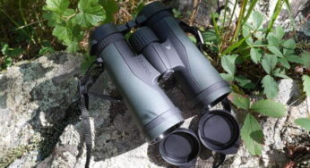 10 Best Vortex Binoculars for Hunting in 2024