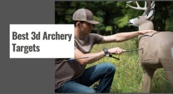 The 10 Best 3d Archery Targets in 2024