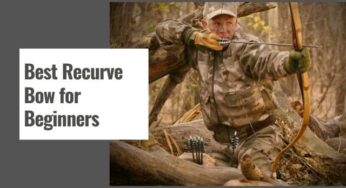 10 Best Recurve Bow for Beginners in 2024