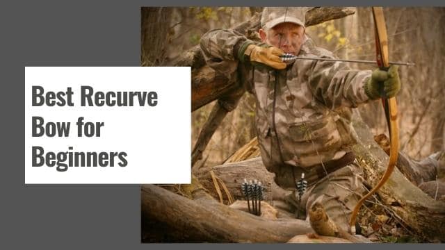 Best Recurve Bow for Beginners