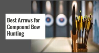 10 Best Arrows for Compound Bow Hunting in 2024