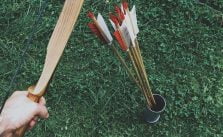 Best Arrows for Recurve Bow