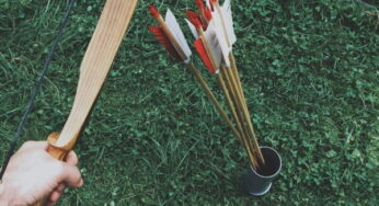 The 10 Best Arrows for Recurve Bow in 2024