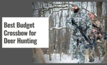 Best Budget Crossbow for Deer Hunting