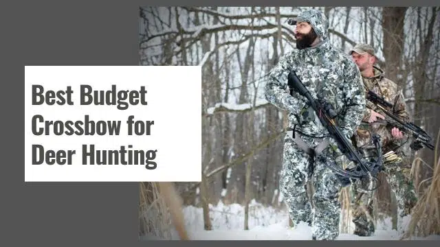 Best Budget Crossbow for Deer Hunting