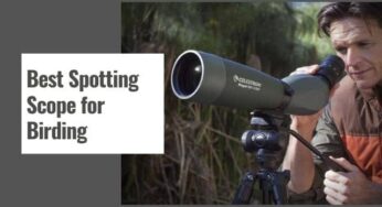 10 Best Spotting Scope for Birding in 2024