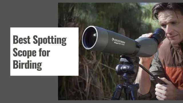 Best Spotting Scope for Birding