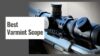 Best varmint scope guide covering magnification parallax reticle turret matching field of view rifle balance and hunting setup