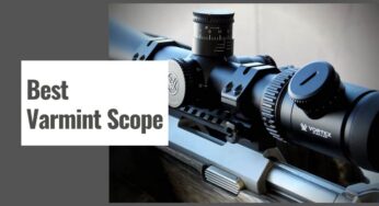 The 10 Best Varmint Scope in 2024