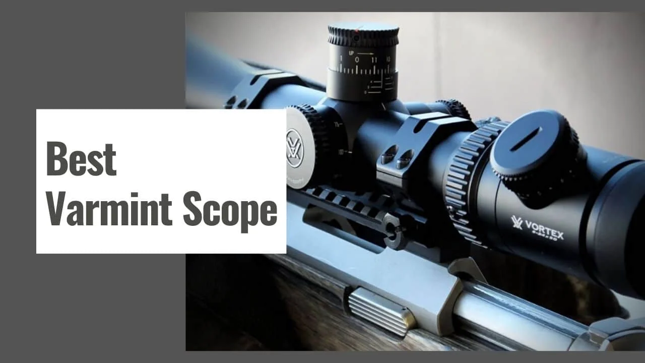 Best Varmint Scope