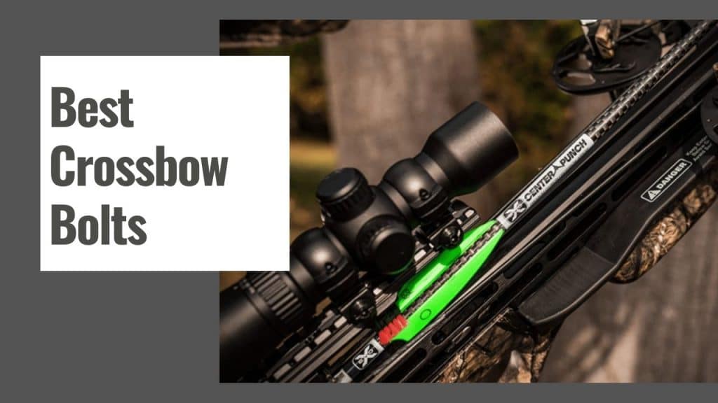 Best Crossbow Bolts for Deer