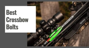 10 Best Crossbow Bolts for Deer Hunting in 2024