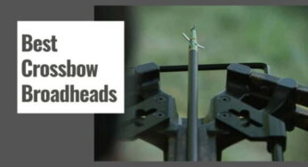 Best Crossbow Broadheads for Deer Hunting in 2024