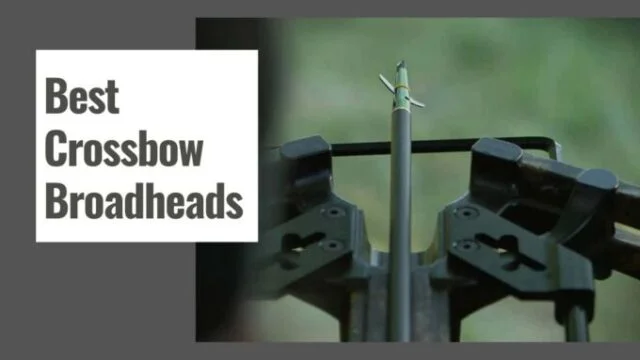 Best Crossbow Broadheads