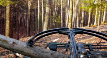 The 10 Best Crossbow Scope in 2024