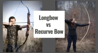 Longbow VS Recurve Bow