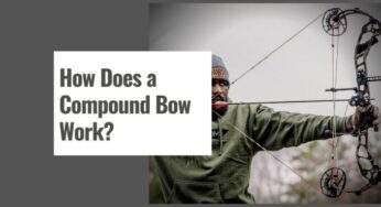 How Does a Compound Bow Work?