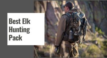 The 10 Best Elk Hunting Pack in 2024