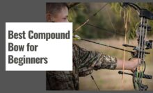 Best Compound Bow for Beginners