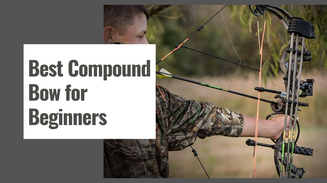 Best Compound Bow for Beginners