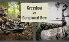 Crossbow vs Compound Bow: Which One Should You Choose?