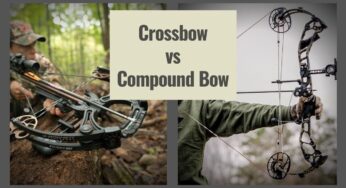 Crossbow VS Compound Bow – Which One is Better?