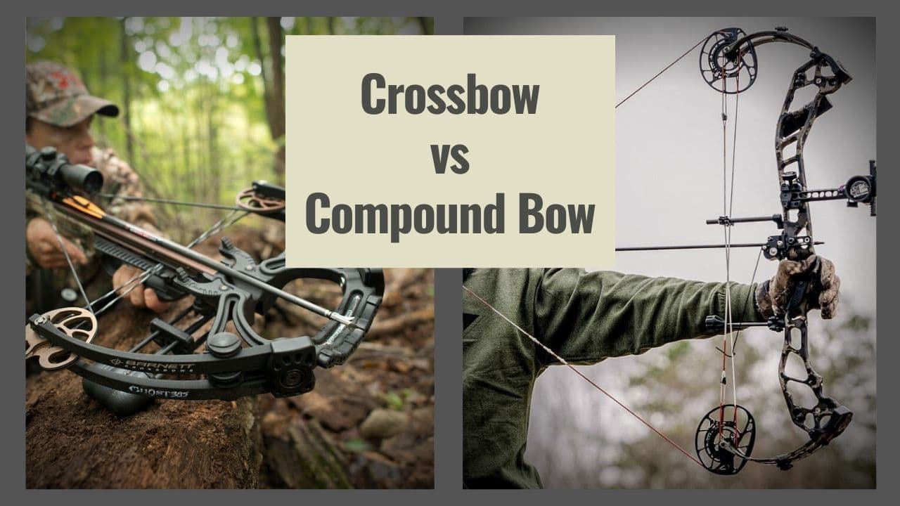 Crossbow VS Compound Bow