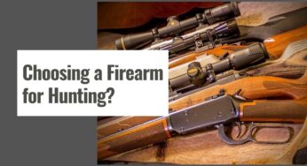 What Should You Check Before Choosing a Firearm for Hunting?