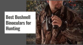 Best Bushnell Binoculars for Hunting in 2024