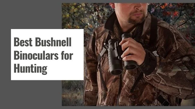 Best Bushnell Binoculars for Hunting