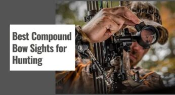 The 10 Best Compound Bow Sights for Hunting in 2024