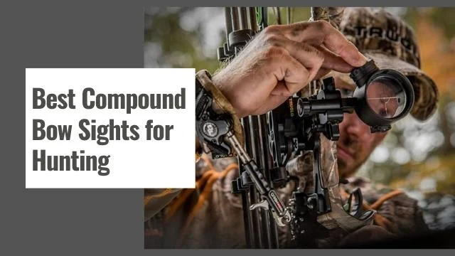 Best Compound Bow Sights for Hunting