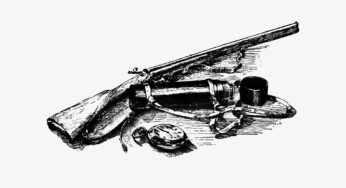 The History of Guns in America: From Colonial Times to Today