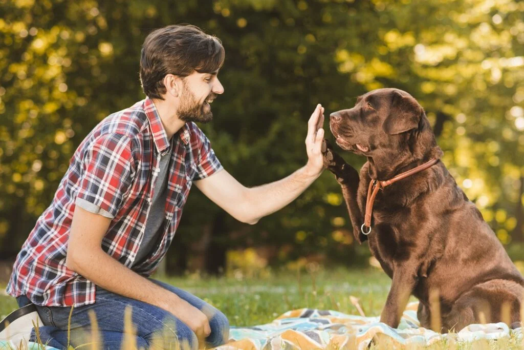 Strong Partnership with Your Deer Hunting Dog