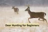 Beginner deer hunter glassing a field from a safe distance