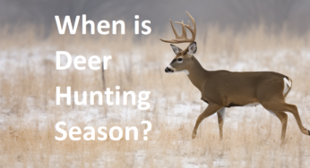 When is Deer Hunting Season? A Guide to the Timing and Regulations
