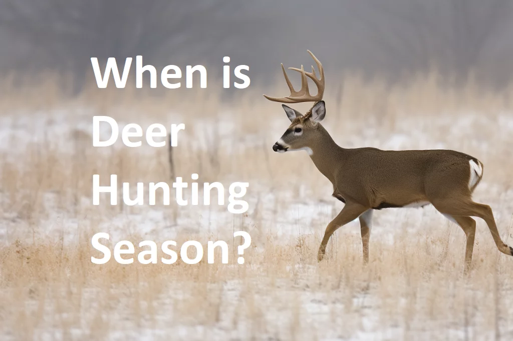 When is Deer Hunting Season? A Guide to the Timing and Regulations