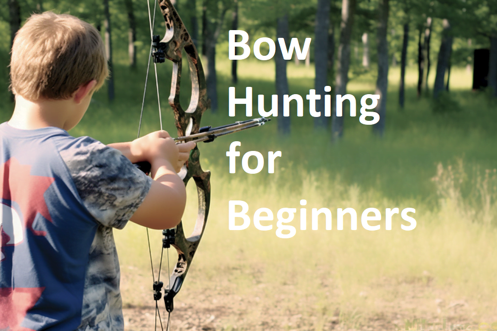 Bow Hunting for Beginners