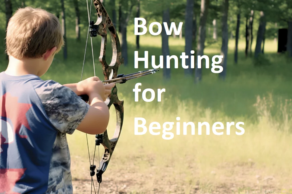 Bow Hunting for Beginners: A Comprehensive Guide to Getting Started