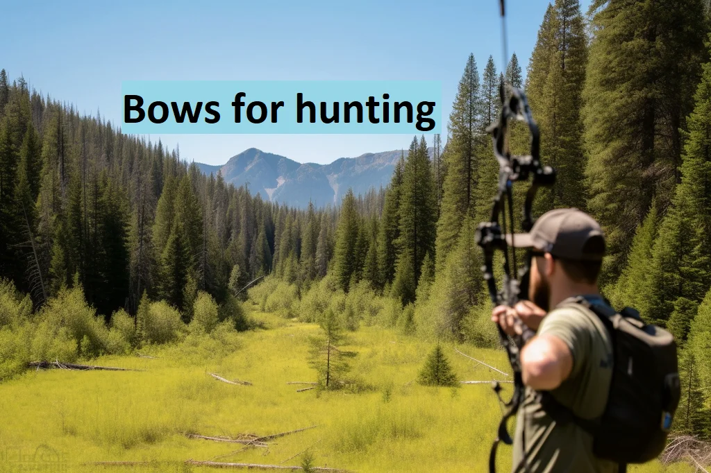 Bows for Hunting: A Comprehensive Guide to Choosing the Right Weapon