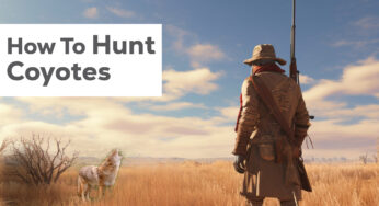 How to Hunt Coyotes: A Comprehensive Guide