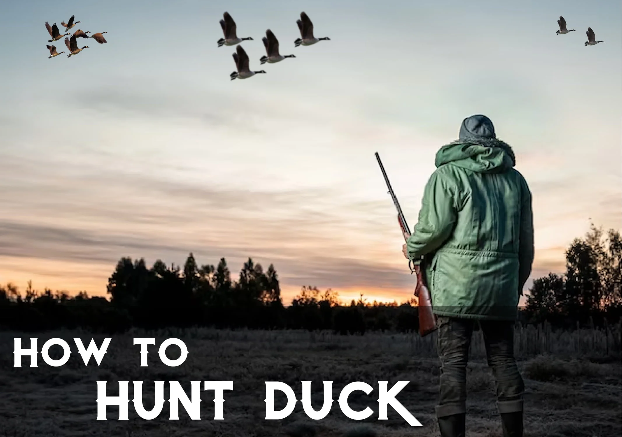 How to Hunt Duck: A Beginner’s Comprehensive Guide