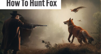 How To Hunt Fox: Understanding the Intricacies of This Age-Old Practice
