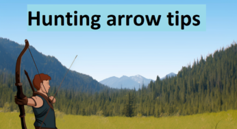 Hunting Arrow Tips: Choosing the Right Broadheads for Successful Hunts