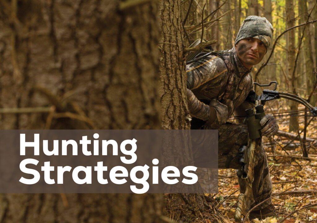 Hunting Strategies